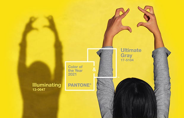 couleur pantone