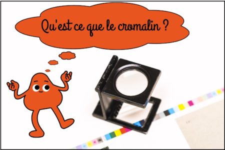 Qu'est-ce que le cromalin ?