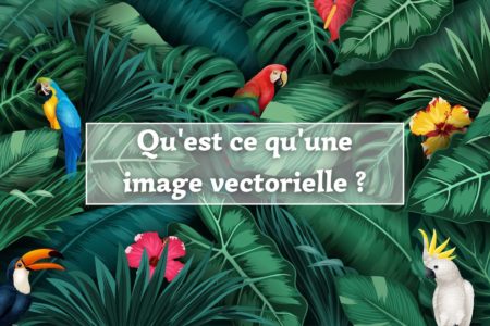 Qu'est-ce qu'une image vectorielle ?